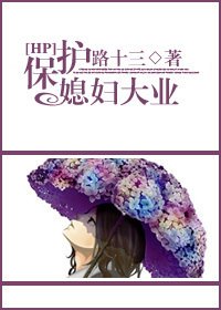 (HP同人)保护媳妇大业