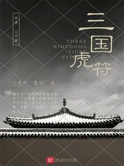 《三国虎符》
