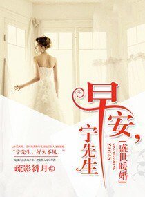 《盛世暖婚:早安,宁先生》
