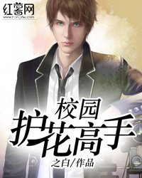 校园护花高手/护美高手混都市