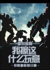 (BG-變形金剛同人)我擦這什麼玩意
