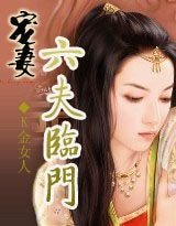 宠妻:六夫临门/穿越之限量版娘子