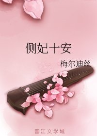 侧妃十安
