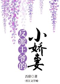 《反派王爷的小娇妻》