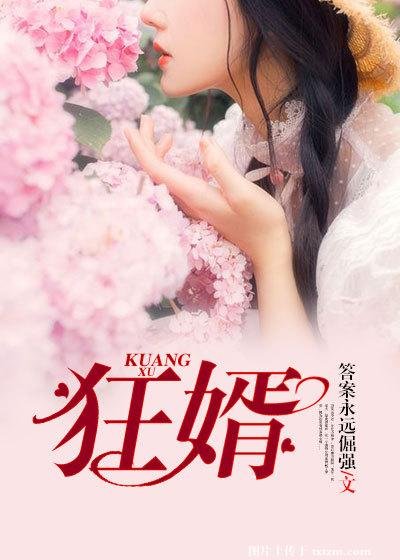 《狂婿》