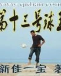 第十三号球王