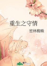 重生之守情