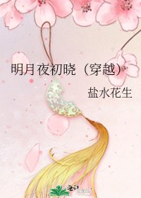 明月夜初晓(穿越)