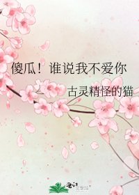 傻瓜!誰説我不愛你