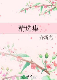 《精选集》