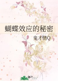 蝴蝶效应的秘密
