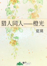 《猎人同人——橙光》
