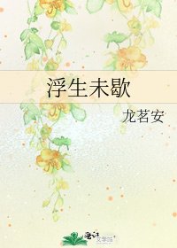 浮生未歇