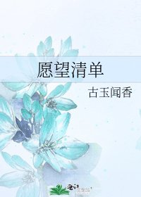 愿望清单