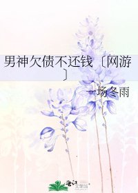 男神欠債不還錢〔網遊〕