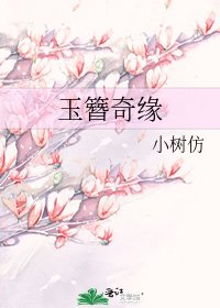 玉簪奇缘