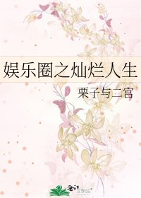 娱乐圈之灿烂人生