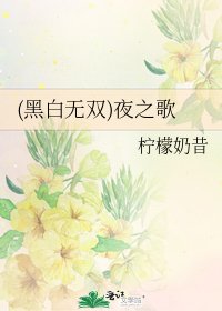 《(黑白无双)夜之歌》