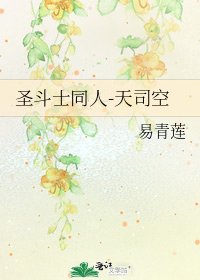 圣斗士同人-天司空