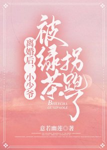 离婚后,小少爷被绿茶拐跑了