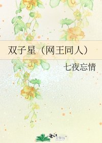 双子星(网王同人)