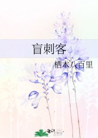 盲刺客
