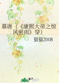 康熙大帝之惊风密雨