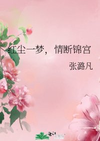 红尘一梦,情断锦宫