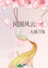《民国风云》