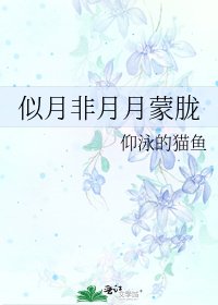 似月非月月蒙胧