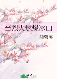 《当烈火燃烧冰山》