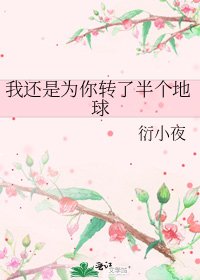《我還是為你轉了半個地球》