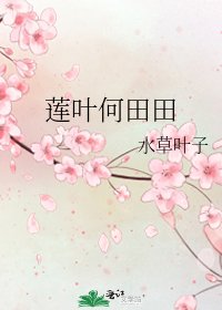 莲叶何田田