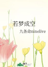 《若夢成空》