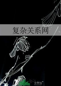 《复杂关系网》