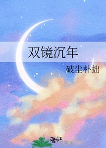 双镜沉年