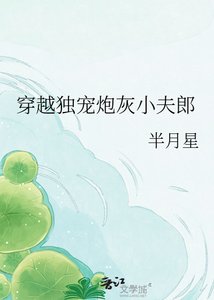 《穿越独宠炮灰小夫郎》