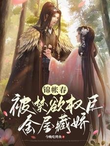 锦帐春:被禁欲权臣金屋藏娇/权宠:禁欲权臣的心娇娇