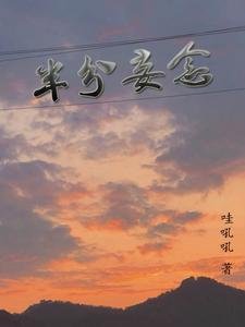 《半分妄念》