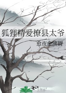 《狐狸精爱撩县太爷》