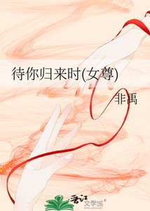 待你归来时(女尊)