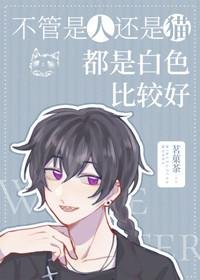 《(综漫同人)不管是人还是猫都是白色比较好》