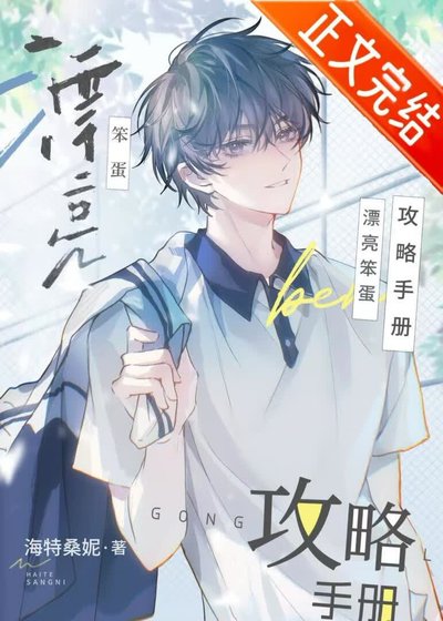 《漂亮笨蛋功略手册》