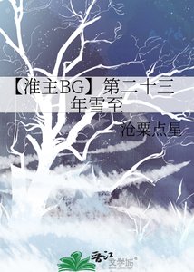 《【淮主BG】第二十三年雪至》