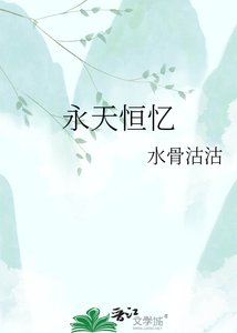 永天恒忆