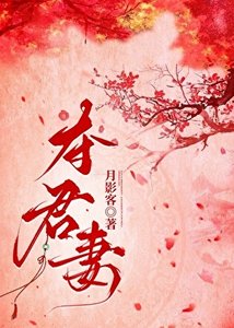 夺君妻