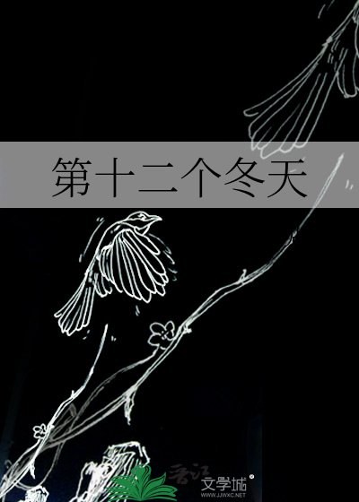 第十二个冬天