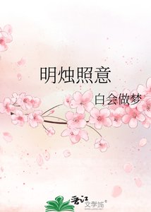 《明烛照意》