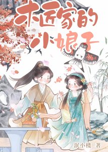 我在北宋开宜家