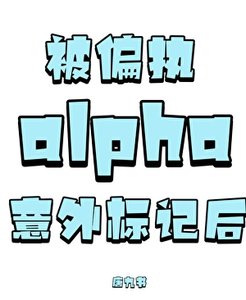 被偏执alpha意外标记后